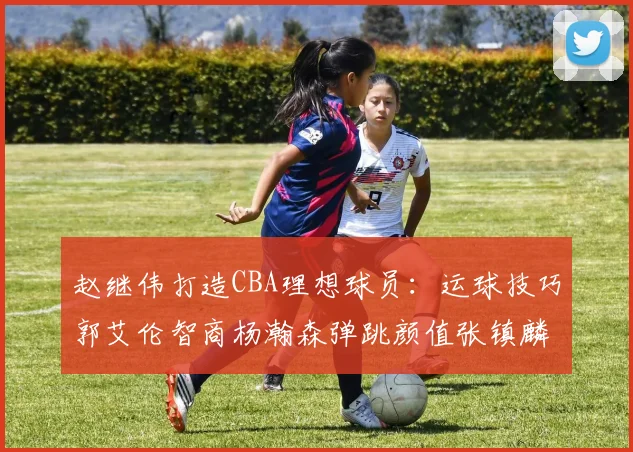 赵继伟打造CBA理想球员：运球技巧郭艾伦智商杨瀚森弹跳颜值张镇麟完美结合